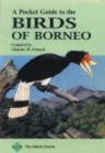 Pocket Guide to the Birds of Borneo