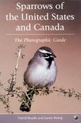 Photo Guide to the Sparrows of USA & Canada