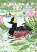 Northumbrian Birds: Their history and status up to the 21st Century