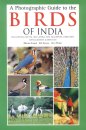 Photographic Guide to the Birds of India including Nepal, Sri Lanka, The Maldives, Pakistan, Bangladesh & Bhutan.