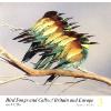Bird Songs & Calls of Britain & Europe, Vol. 3: Cuckoos to hippolais warblers