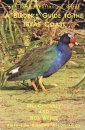A Birder's Guide to the Texas Coast