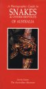 Photographic Guide to Snakes & other Reptiles of Australia