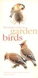 The Pocket Guide to Garden Birds
