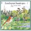 Scandinavian Soundscapes 1