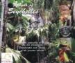 Seychelles, Sounds of (Double CD)