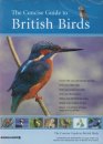Concise Guide to British Birds v9