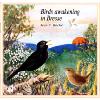 Birds Awakening in Bresse