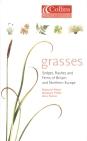 Grasses, Sedges, Rushes & Ferns of Britain