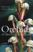 Orchids of Britain and Ireland