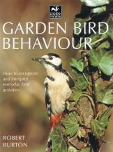 Garden Bird Behaviour