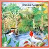 Brazilian Soundscapes