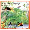 Costa Rica Soundscapes