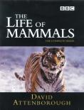 Life of Mammals