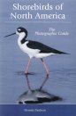 Shorebirds of North America: The Photographic Guide