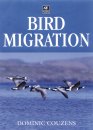 Bird Migration