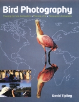 Bird Photography