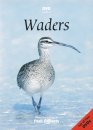Waders of Europe, Asia & North America