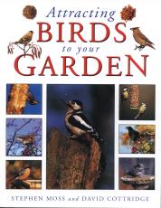 Attracting Birds to Your Garden