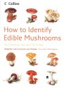 How to Identify Edible Mushrooms