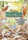 Birding Central Panama