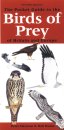 The Pocket Guide to the Birds of Prey of Britain and Europe