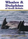 Whales & Dolphins of Great Britain: Where to go and what to see
