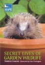 Secret Lives of Garden Wildlife