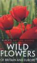 Wild Flowers of Britain & Europe Wild Flowers of Britain & Europe