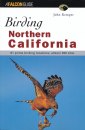 Birding Northern California