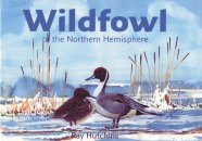 Wildfowl of the Northern Hemisphere
