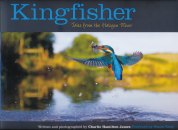 Kingfisher: Tales from the Halcyon River