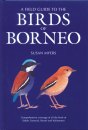 Field Guide to the Birds of Borneo