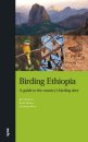 Birding Ethiopia Birding Ethiopia