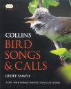 Bird Songs & Calls