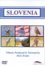 Birdwatching in Slovenia Birdwatching in Slovenia