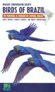 Birds of Brazil: The Pantanal and Cerrado of Central Brazil