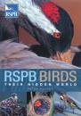 RSPB Birds - Their hidden world RSPB Birds - Their hidden world
