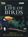 Life of Birds