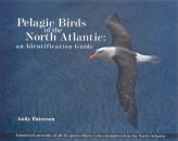 Pelagic Birds of the North Atlantic: An ID Guide
