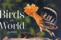 Birds of the World (365 days)