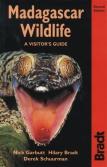 Madagascar Wildlife