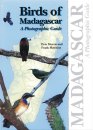 Birds of Madagascar