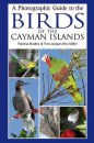 Photographic Guide to the Birds of the Cayman Islands