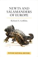 Newts and Salamanders of Europe