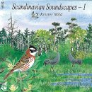 Scandinavian Soundscapes 1