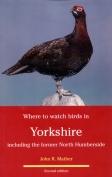 Where to watch birds in Yorkshire