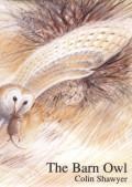 The Barn Owl