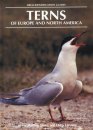 Terns of Europe and North America