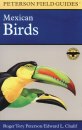 Mexican Birds